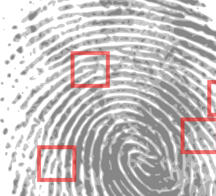 fingerprint detective criminal 146242
